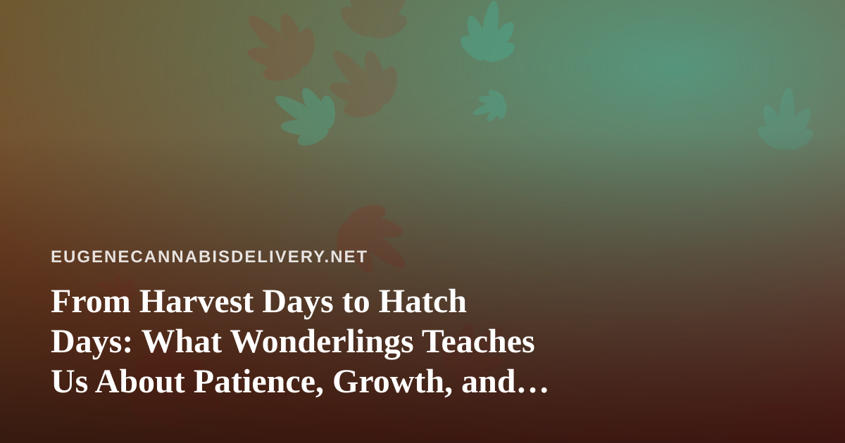 From Harvest Days to Hatch Days: What Wonderlings Teaches Us About Patience, Growth, and Good Service